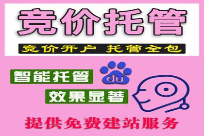 SEM竞价代运营：案例见证品牌知名度提升